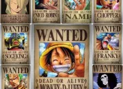 Quiz One Piece : Les fruits du dmon