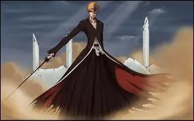 Quel est le nom du Zanpakuto d'Ichigo ?