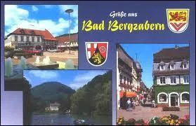 Pour commencer cette promenade franco-allemande, je vous emmne  Bad-Bergzabern. Nous serons ...