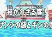 Quiz One Piece - pisodes 21  30