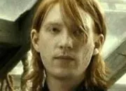 Quiz Bill Weasley