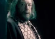 Quiz Albus Dumbledore