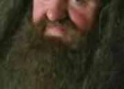 Quiz Harry Potter : Rubeus Hagrid