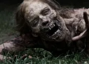 Quiz The Walking Dead - Rick