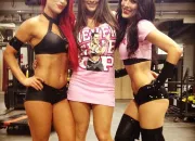 Quiz Les Bella Twins