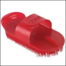 Quelle est cette brosse ?