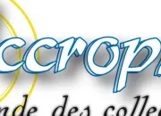 Quiz Accrophil : le site des collectionneurs