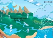 Quiz Physique chimie : l'eau dans tous ses tats (niveau 5e) !