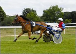 Quelle est la traduction anglaise de ce verbe :  aller au petit galop  ?