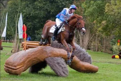 Quel est le nom de ce sport questre ?