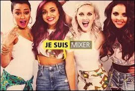 De qui est constitu le groupe des Little Mix ?