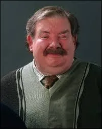 Quel est le mtier de Monsieur Dursley ?