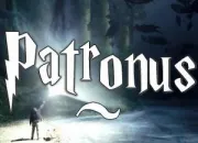 Quiz Harry Potter-Les patronus