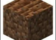 Quiz Blocs Minecraft