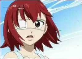 Erza est amoureuse de Jellal et lui aussi, mais un autre aime Erza ; qui est-ce ?