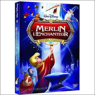 En quelle anne le DVD du dessin anim est-il sorti pour la premire fois ?