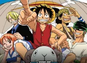 Quiz One Piece 1 (pisodes : 1-61)