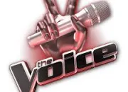 Quiz The Voice