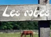 Quiz Les robes des chevaux