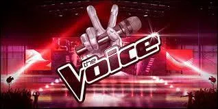 Qui sont les juges de  The Voice  ?