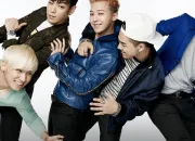 Quiz Es-tu un(e) V. I. P (fan de BigBang)