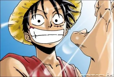 Quel ge a Monkey D. Luffy ?