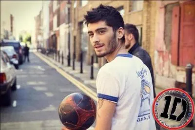 Quelle est la date de naissance de Zayn ?