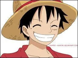 Quel est le nom de famille de Luffy ?