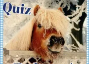 Quiz Galop 1