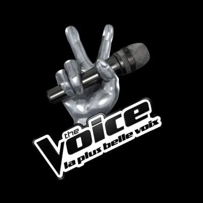 Qui prsente  The Voice  ?