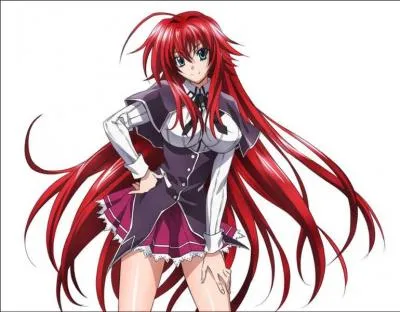 Qui est Rias Gremory ?