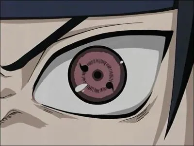 Dans son combat contre Lee, Sasuke utilise une technique. Laquelle ?