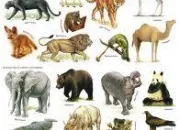 Quiz Les animaux