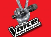 Quiz The Voice