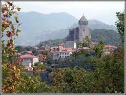 Dans quel dpartement est situ Saint-Bertrand-de-Comminges, dont l'origine remonte  l'poque gallo-romaine, cit qui vous offre la dcouverte de sa cathdrale gothique Notre-Dame ?