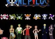 Quiz Personnages de One Piece