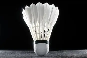 Avec les plumes de quel oiseau fabrique-t-on les volants de badminton ?