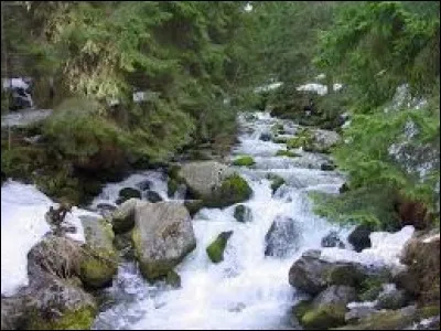 Complétez : La rivière et le torrent, grossis par les fortes pluies, ----- la colline.