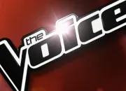 Quiz The Voice