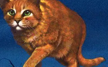 Quiz Erin hunter