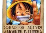 Quiz One Piece