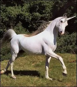 Tu me dis qu'il y a une licorne dans le jardin et tu voudrais que je te ... !