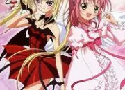 Quiz Couples Shugo Chara