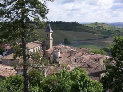 Dans ce bourg du Tarn, vous dcouvrirez la collgiale Saint-Rmy peinte en bleu pastel avant de vous rgaler de pain  l'ail, quel est ce village ?