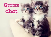 Quiz Les chats