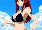 Quiz Fairy Tail : les armures d'Erza