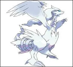 Quels sont les types de Reshiram ?