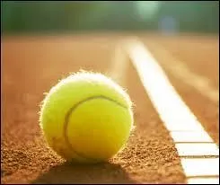 Quel type de sport est le tennis ?