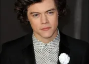 Quiz One Direction : Harry Styles