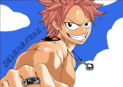 Quel est le nom de famille de Natsu ?